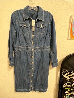 Talbots Medium Blue Denim Button-Front Shirt
